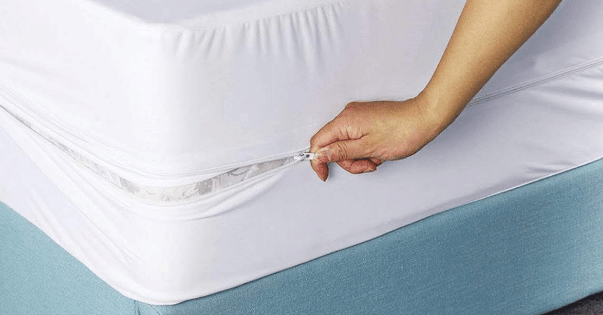 Can You Dry Bed Bug Mattress Covers at Dara Ackerman blog