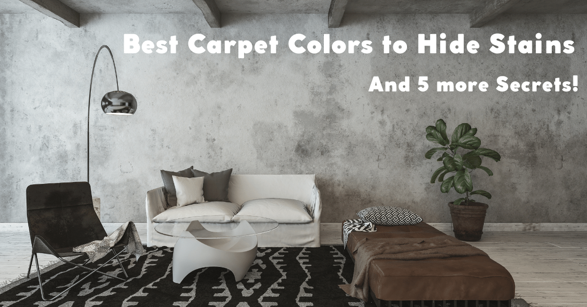 Best Carpet Colors to Hide Stains. (And 5 More Secrets!) Carpet and