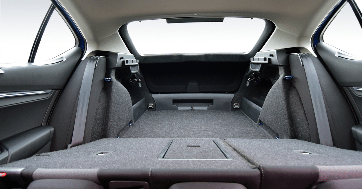 Can You Shampoo Car Carpet? (6 Things You Should Keep in Mind