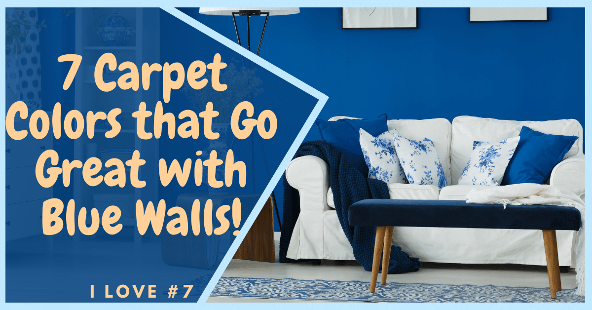 7 Carpet Colors that Go Great with Blue Walls Carpet and Rug World