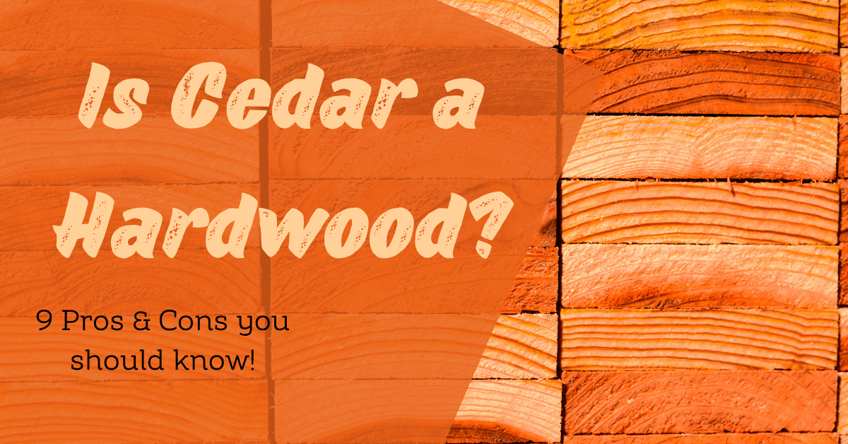 Is Cedar a Hardwood? (9 Pros & Cons you should know!) Carpet and Rug