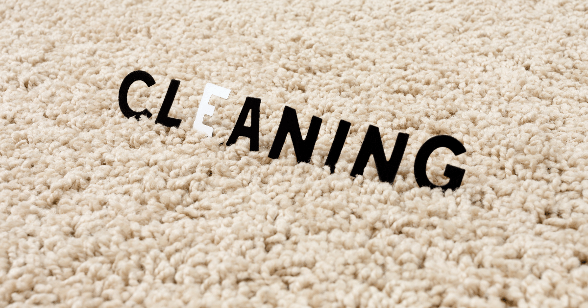 How much does it cost to clean my area or oriental rug? (Infographic