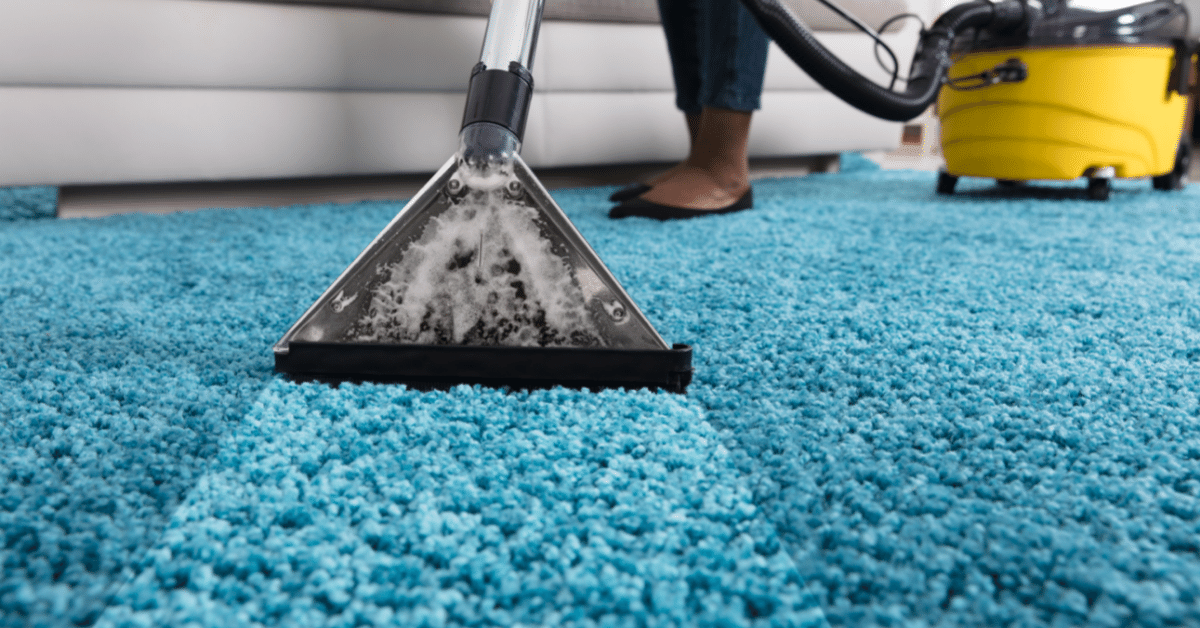 Is Professional Carpet Cleaning Worth It? (Pros and Cons) Carpet and Rug World