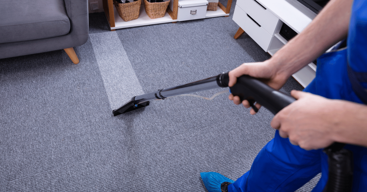 Is Professional Carpet Cleaning Worth It? (Pros and Cons) Carpet and