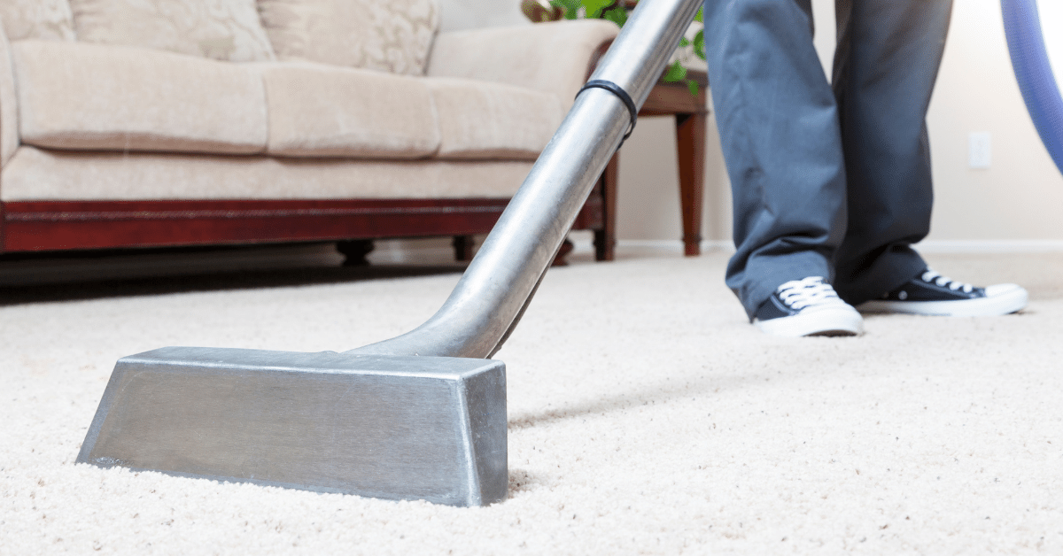 Dry Clean Carpet At Home. (Everything You Need to Know!) Carpet and
