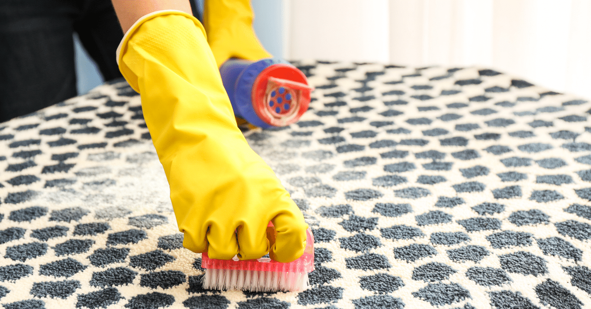 What Kills Fleas in Carpet Naturally? (Guide For 8 DIY Remedies