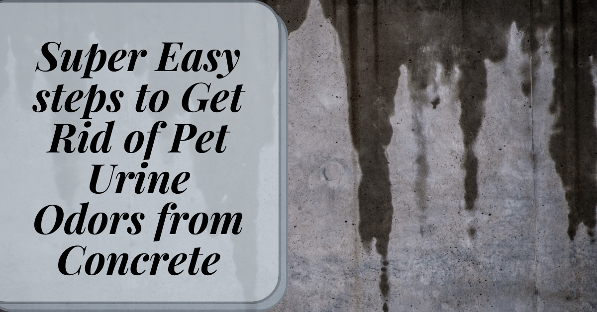 Super Easy steps to Get Rid of Pet Urine Odors from Concrete Carpet
