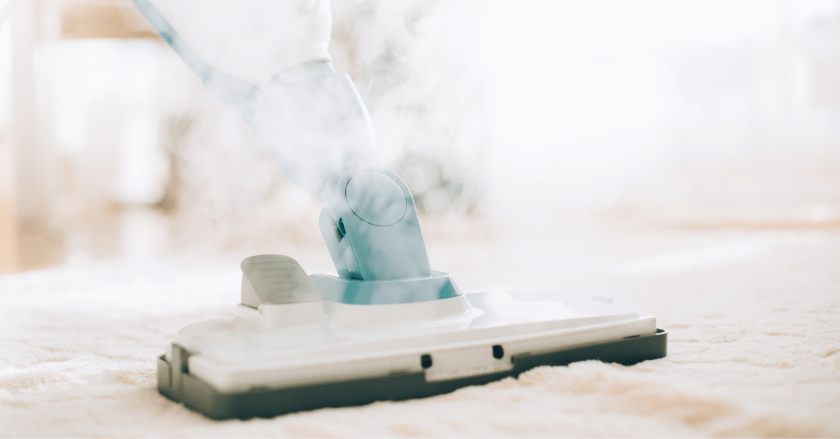 Hot Water Extraction vs Steam Cleaning A Detailed Comparison Carpet