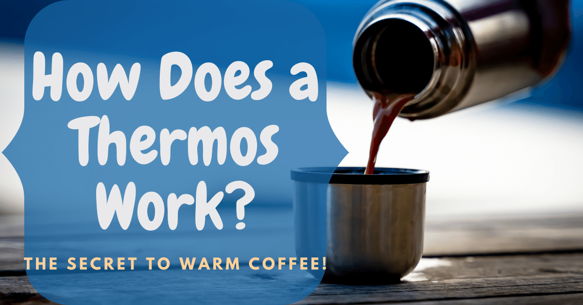 How Does a Thermos Work? (The Secret to Warm Coffee!) Carpet and Rug