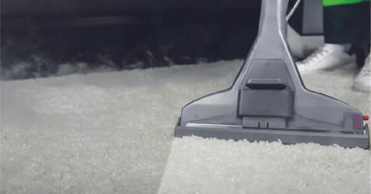 How to Dry Carpet Faster After Cleaning? (7 Amazing Tips!) Carpet and