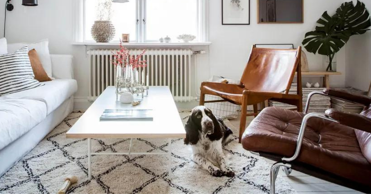 How to Keep Carpet Smelling Fresh. (2 Methods and 10 tips!) Carpet