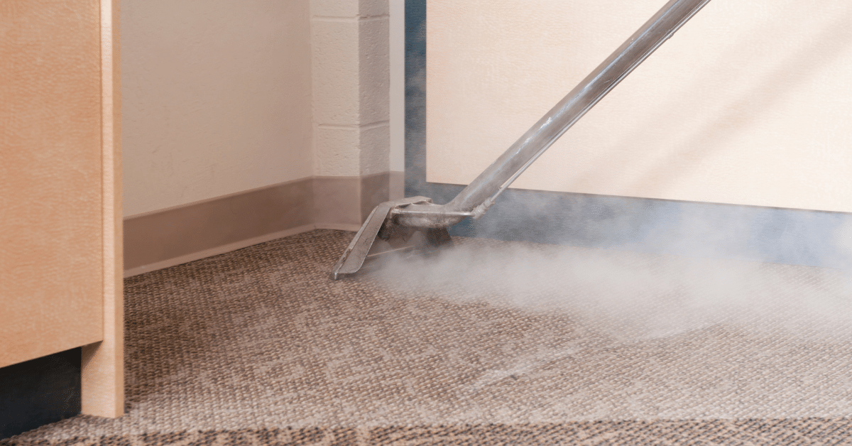 How to Deep Clean Carpet With Steam Cleaner? (StepByStep Guide) Carpet and Rug World