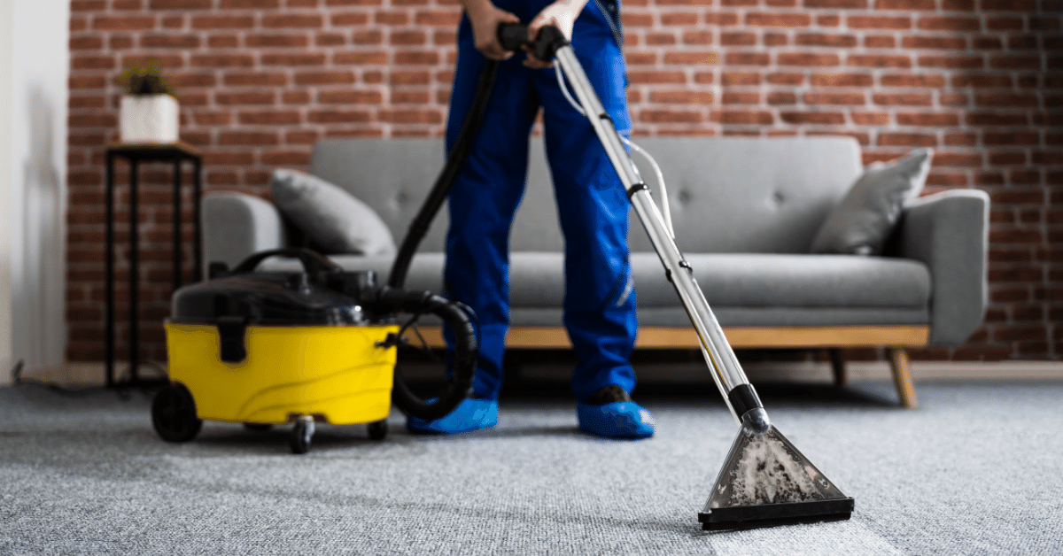 Is Professional Carpet Cleaning Worth It? (Pros and Cons) Carpet and Rug World