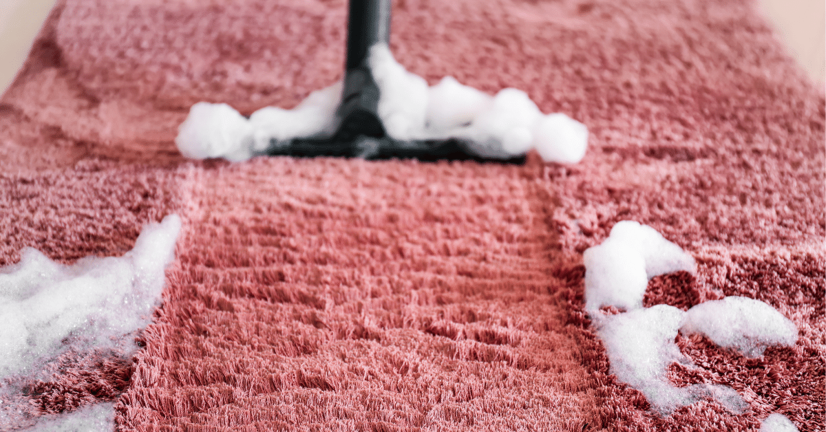 Steam Cleaning vs Dry Cleaning (Explained by a PRO) Carpet and Rug World