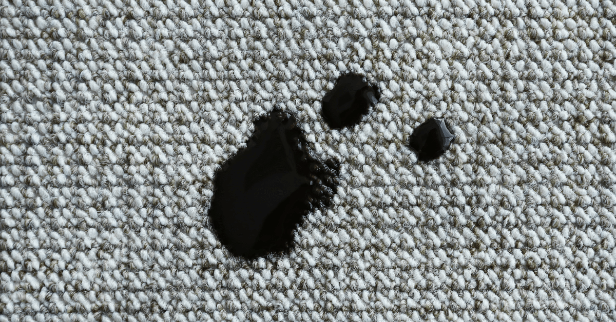 How to Get Out Stains in Carpet (8 Methods for 32 Types of Stains