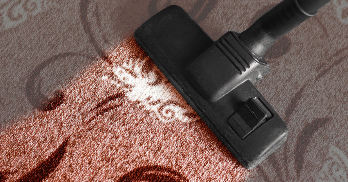 Is Professional Carpet Cleaning Worth It? (Pros and Cons) Carpet and