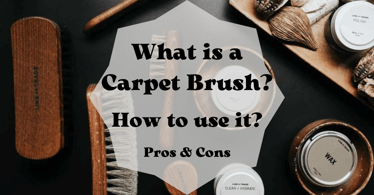 What is a Carpet Brush and How to use it (Pros & Cons) Carpet and Rug