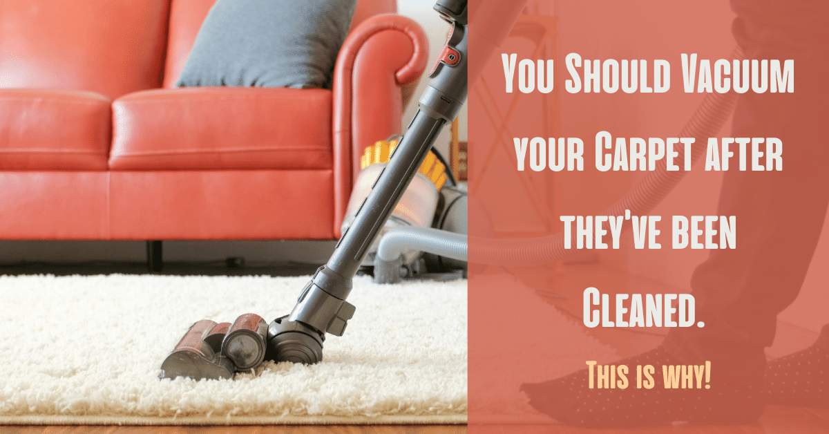 You Should Vacuum your Carpet after they’ve been Cleaned. (This is Why