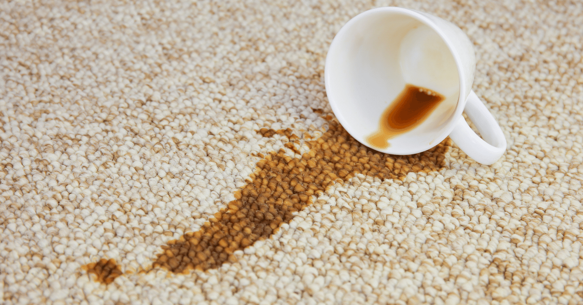 How to Remove Coffee Stains From Carpets (With Pictures) Carpet and