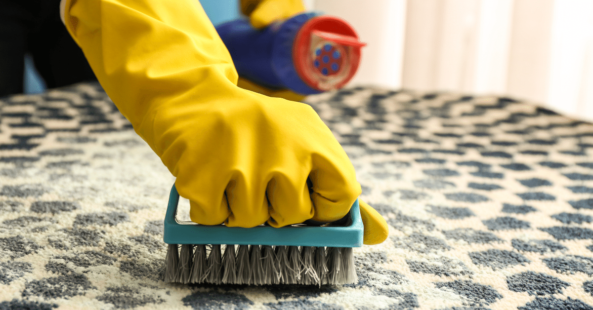 Everything You Need to Buy a Carpet in One Page! Carpet and Rug World