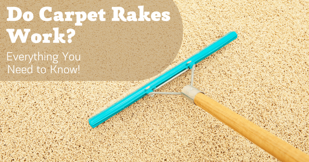 Carpet Rakes