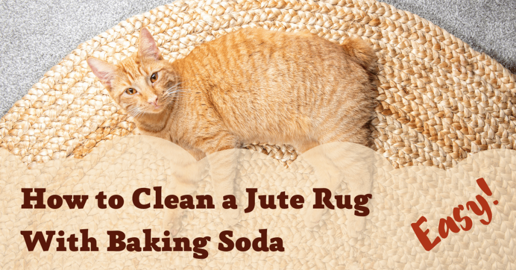 Clean a Jute Rug