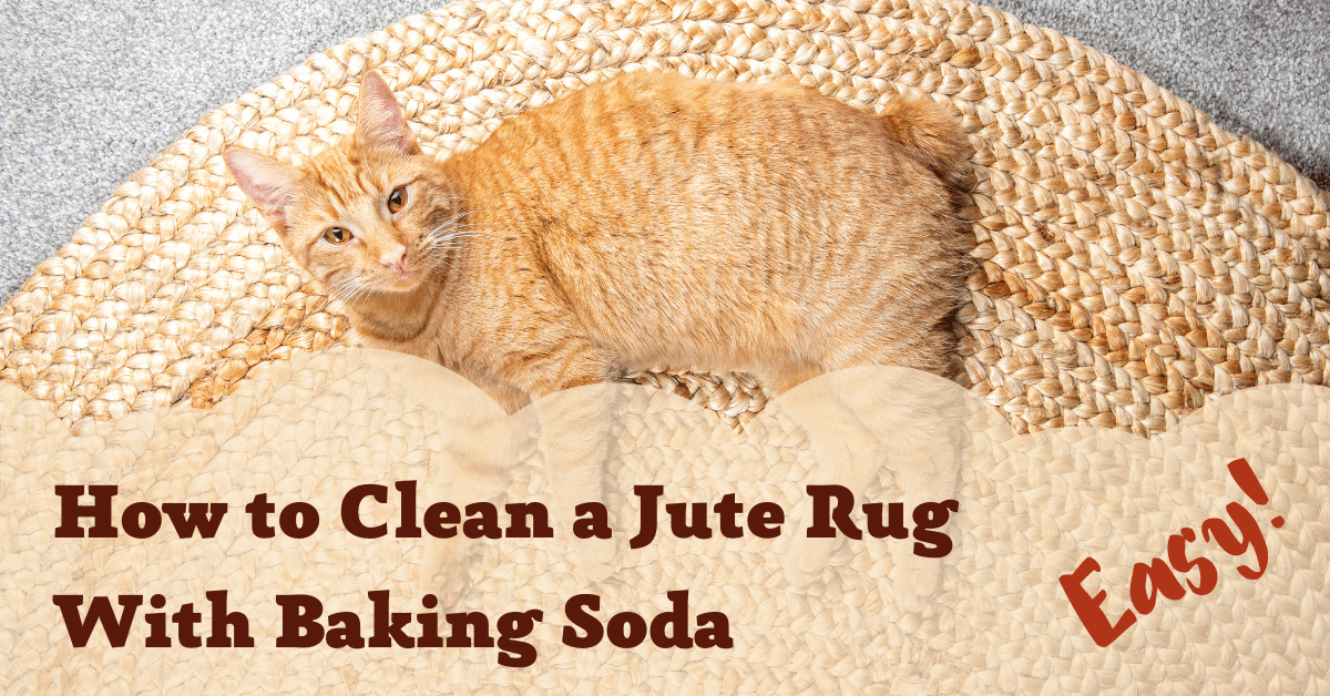 how-to-clean-a-jute-rug-with-baking-soda-easy-carpet-and-rug-world