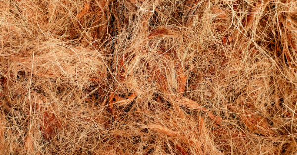 Coconut fiber rugs Coconut fiber rugs