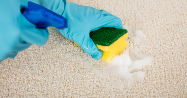 clean light carpet clean light carpet