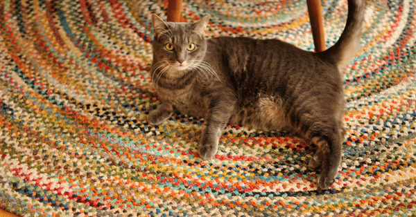 How to Wash a Braided Rug