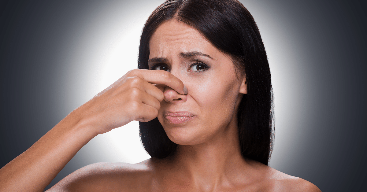 How Long Does It Take New Carpet Smell to Go Away? Carpet and Rug World