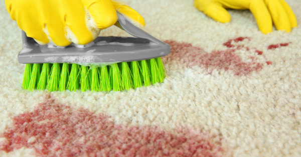 Cleaning Carpet with Brush Cleaning Carpet with Brush