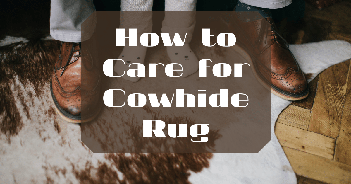 How to Care for Cowhide Rug Carpet and Rug World