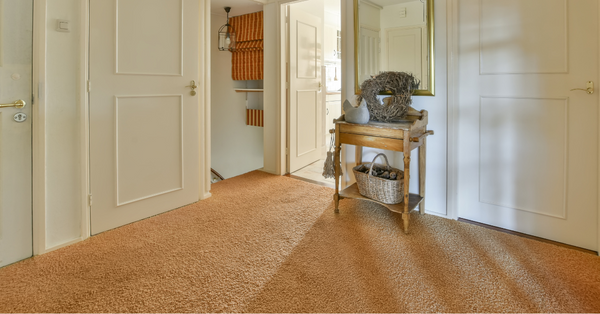 beige carpet in the hallway beige carpet in the hallway