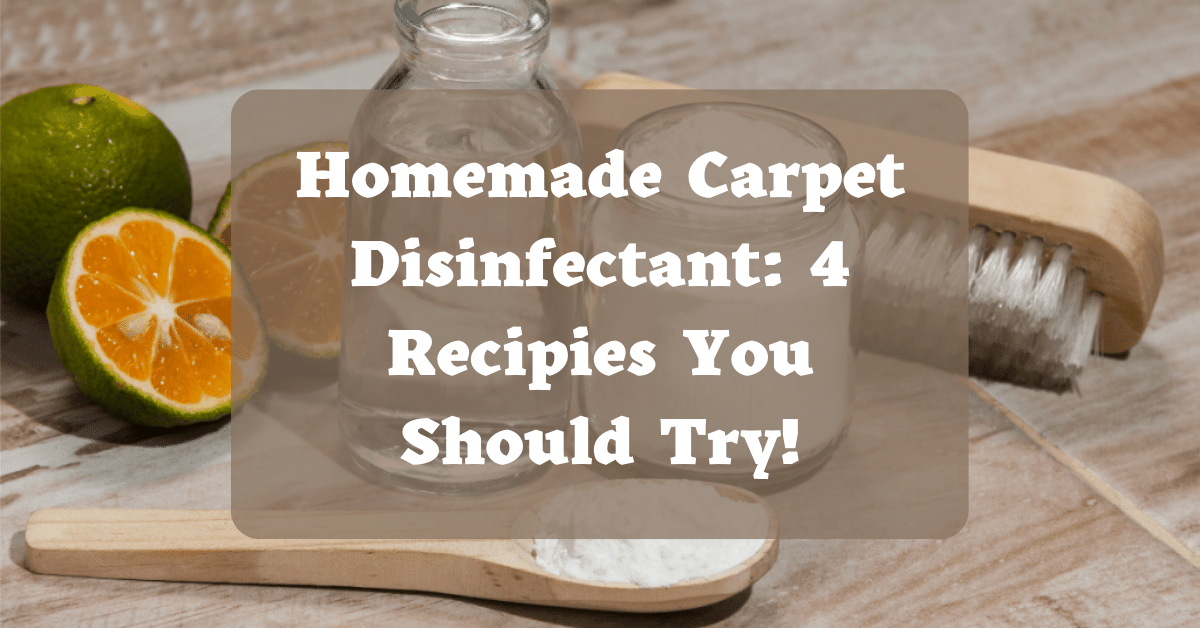 Homemade Carpet Disinfectant 4 Recipies You Should Try! Carpet and