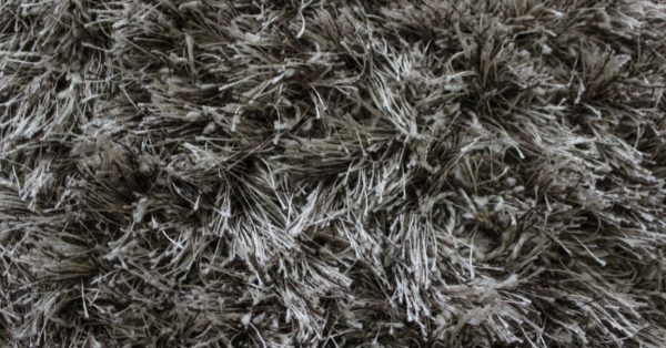 Saxony carpet Saxony carpet