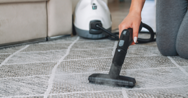 steam cleaner steam cleaner