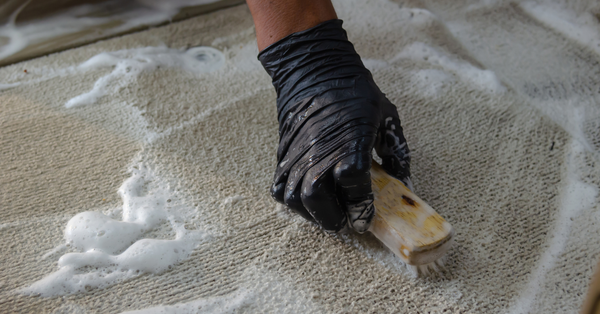 clean the carpet clean the carpet