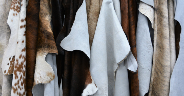 cowhide rugs cowhide rugs