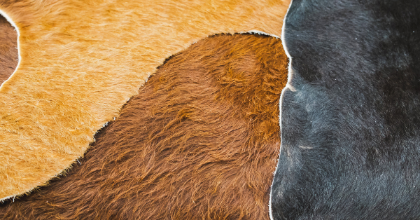 differents cowhide color differents cowhide color