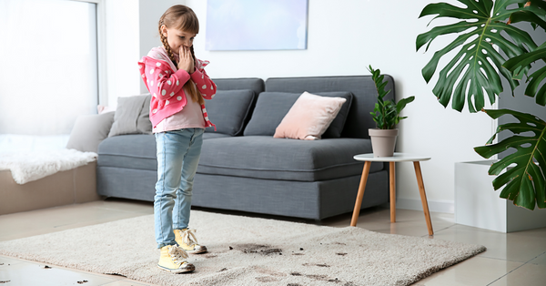 dirty carpet dirty carpet
