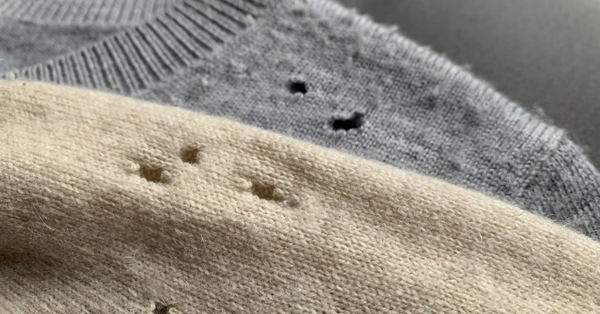 moth ruined clothes moth ruined clothes