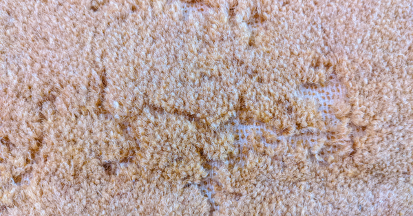 ruined carpet ruined carpet