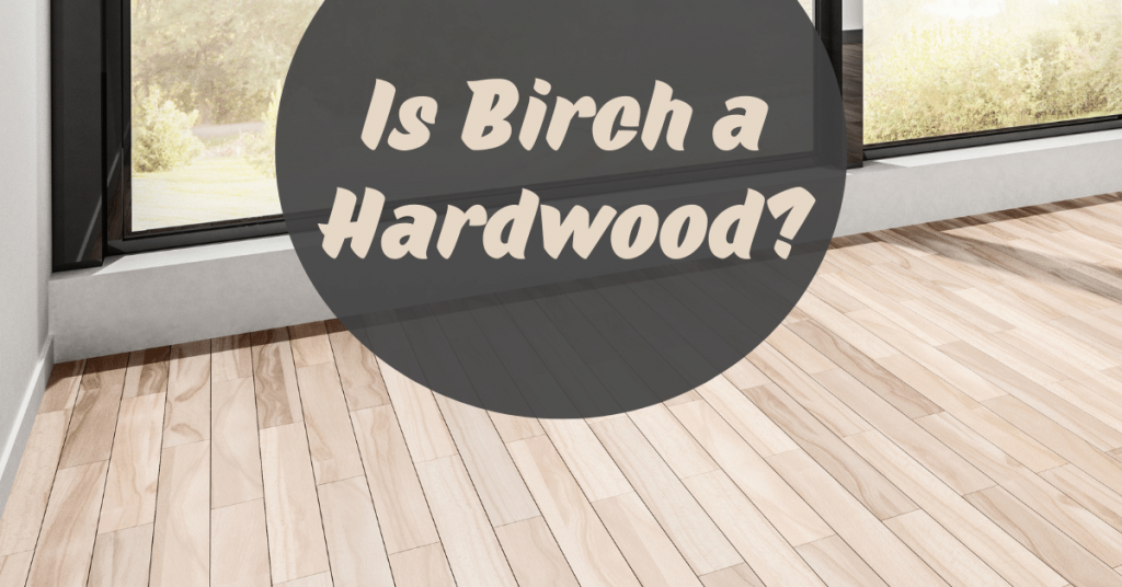 Birch a Hardwood