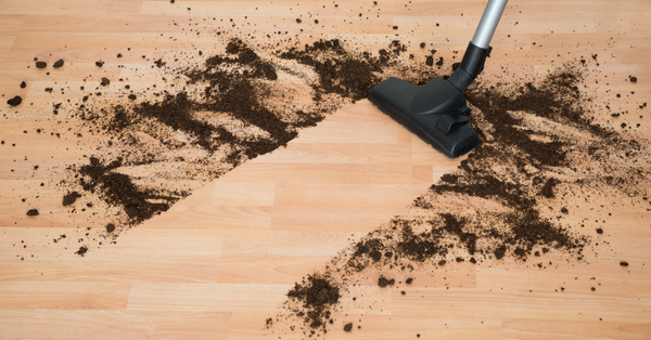 Cleaning birch floor