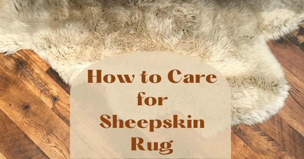 Sheepskin Rug