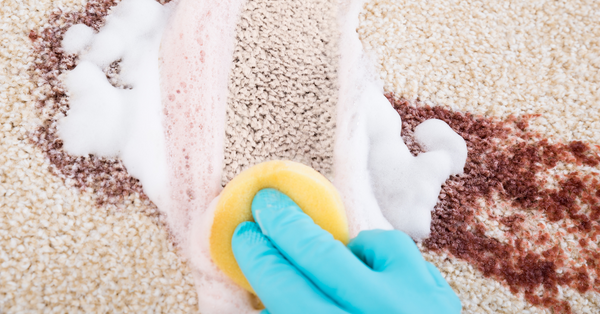 carpet cleaner carpet cleaner