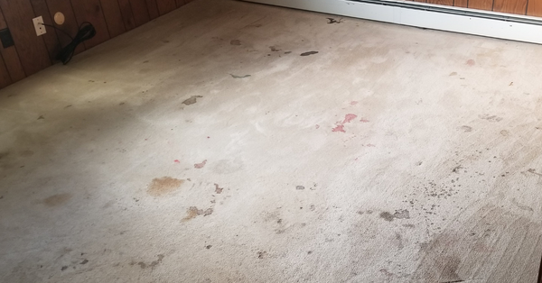 stains on carpet