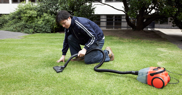 vacuuming grass