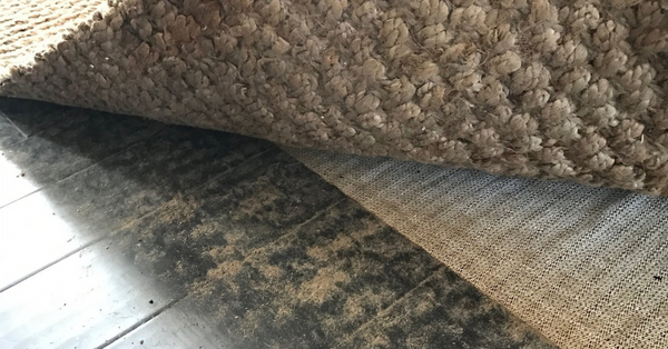 seagrass rug shedding seagrass rug shedding